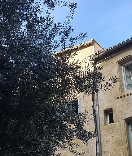 דירה Le Petit Olivier En Coeur De Et Parking Inclus A 10 Mins מונפלייה