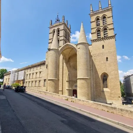 Le Petit Olivier En Coeur De Climatise Et Parking Inclus A 10 Mins Apartament Montpellier