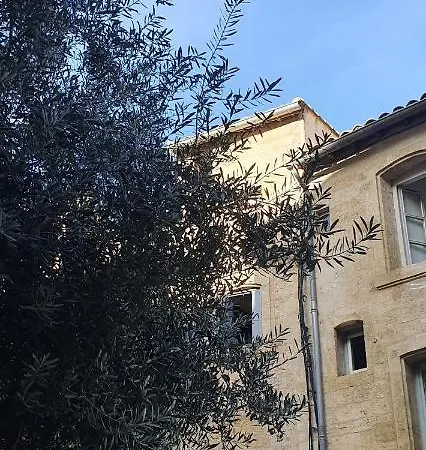 Appartamento Le Petit Olivier En Coeur De Et Parking Inclus à 10 Mins Montpellier