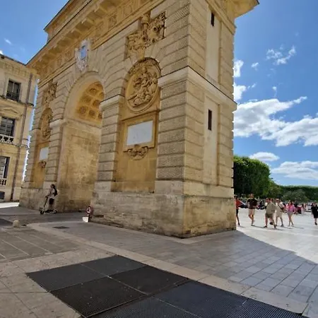 Le Petit Olivier En Coeur De Climatise Et Parking Inclus A 10 Mins Montpellier