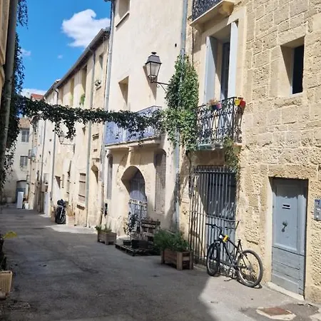 Apartament Le Petit Olivier En Coeur De Climatise Et Parking Inclus A 10 Mins