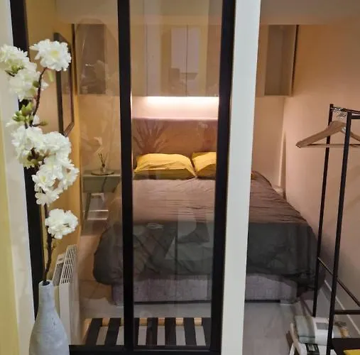 Apartment Le Petit Olivier En Coeur De Et Parking Inclus A 10 Mins