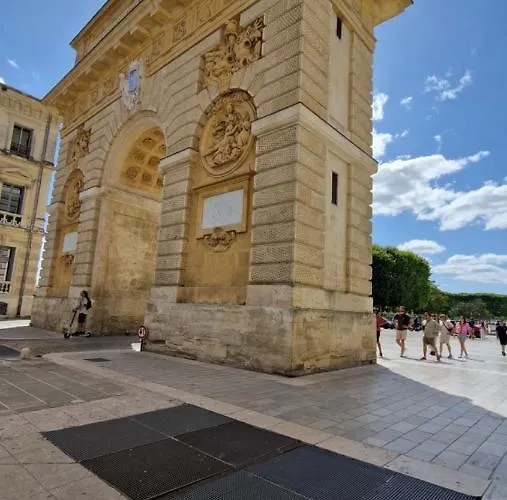 Le Petit Olivier En Coeur De Et Parking Inclus A 10 Mins Montpellier