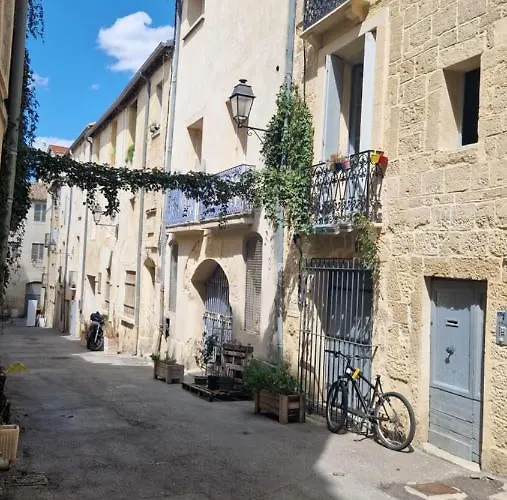 Apartment Le Petit Olivier En Coeur De Et Parking Inclus A 10 Mins